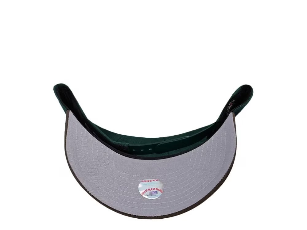 Chicago White Sox Verde y Viscera Cafe 9FORTY A-Frame Snapback