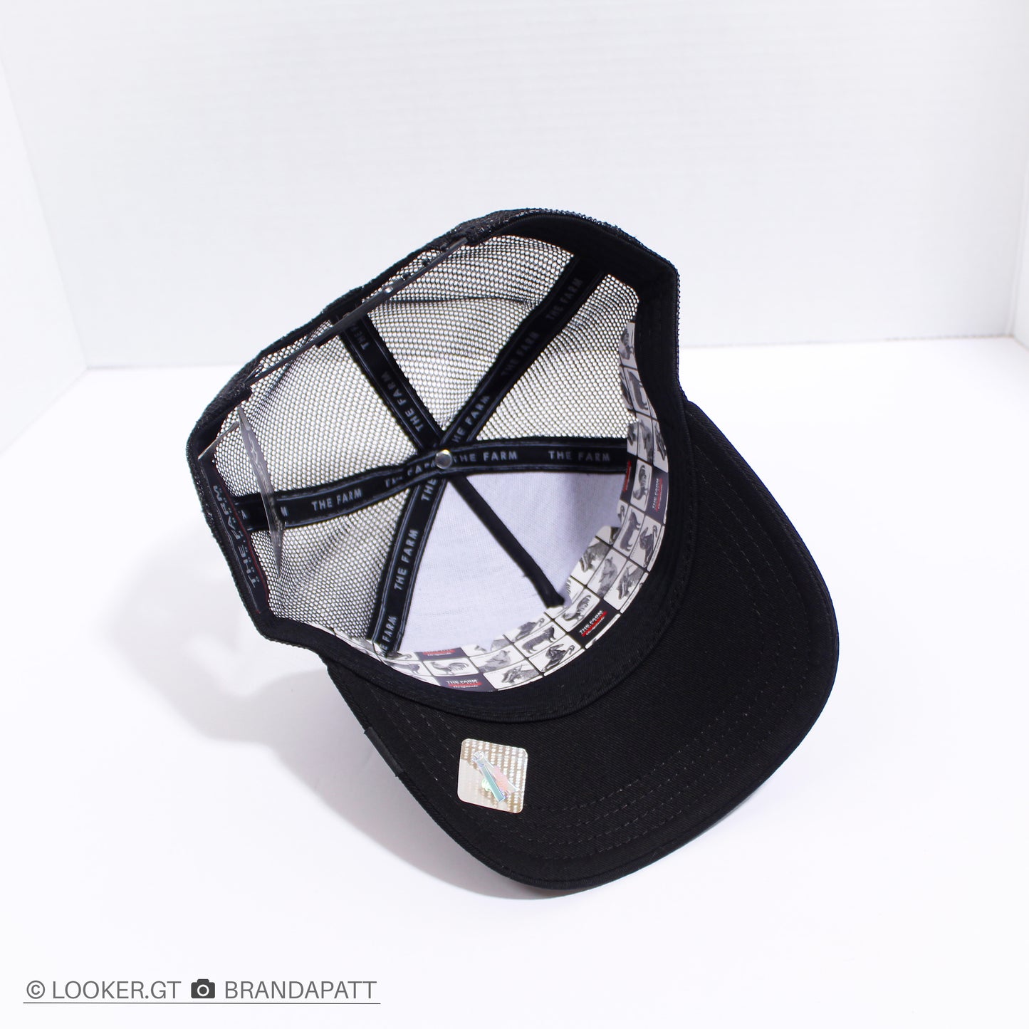 Fly — Clásicas Trucker
