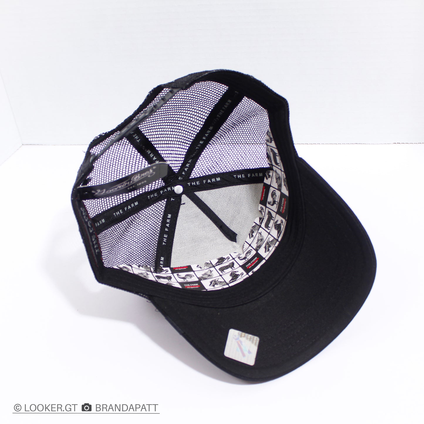 Stallion Negra — Clásicas Trucker