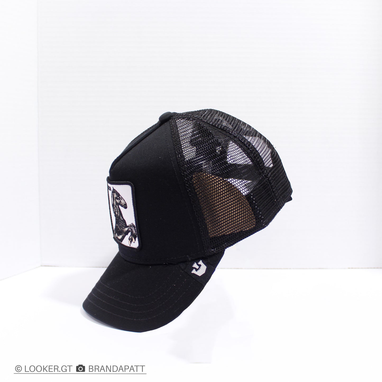 Stallion Negra — Clásicas Trucker
