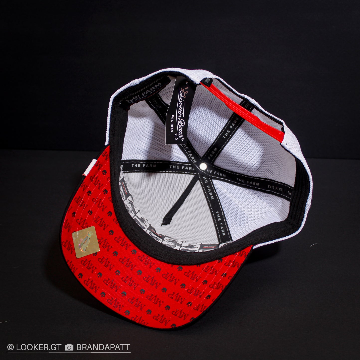 GOAT — Cápsula MVP