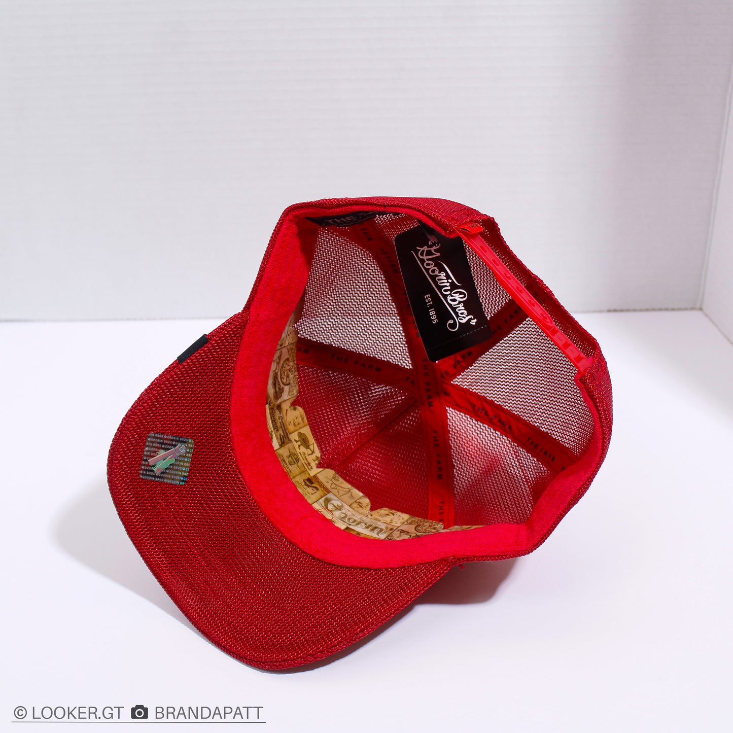 Fruity — Cápsula Mesh (Limited Edition)