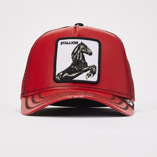 Stallion Red