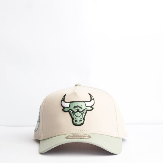 EXCLUSIVA —  Chicago Bulls Crema y Viscera Menta 9FORTY Snapback