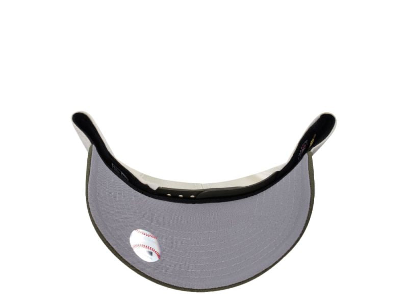 Chicago Cubs Be Alert Chrome Two Tone Edition 9FORTY A-Frame Snapback