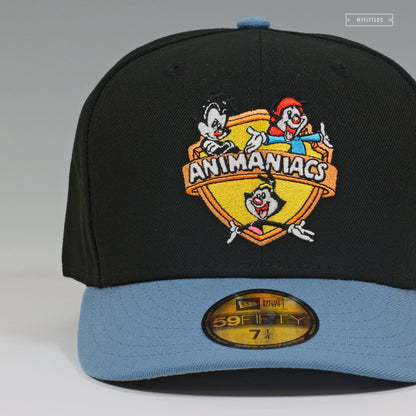 Warner Bros® Animaniacs™ Shield Jet Black Serene Slate 59FIFTY Fitted
