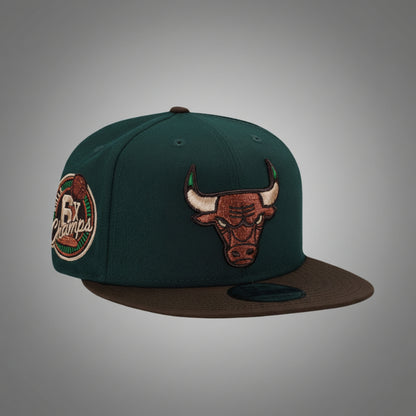Chicago Bulls 6x Champs Green Two Tone Edition 9FIFTY Snapback