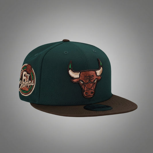Chicago Bulls 6x Champs Green Two Tone Edition 9FIFTY Snapback