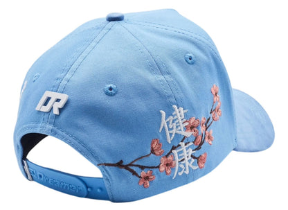 Kanji 2.0