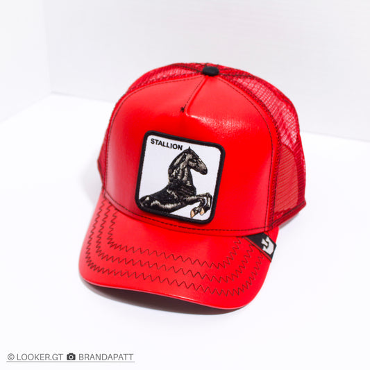 Stallion Red — Edición Especial de Cuero