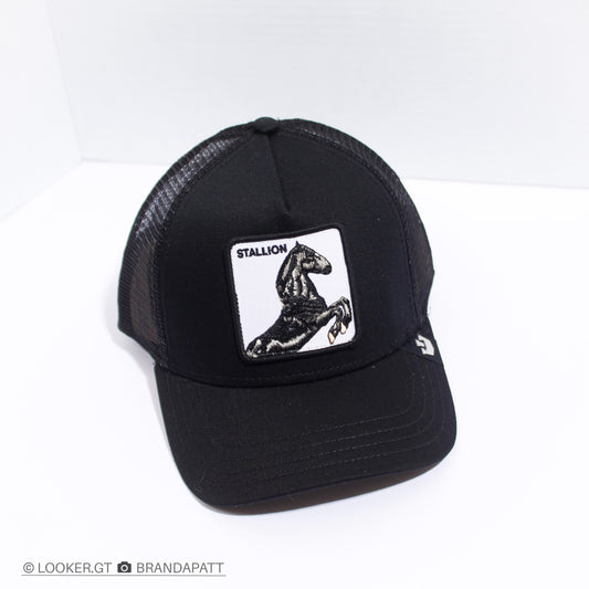 Stallion Negra — Clásicas Trucker