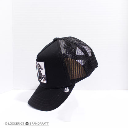 Stallion Negra — Clásicas Trucker