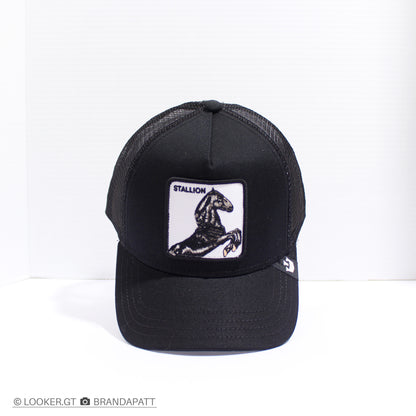 Stallion Negra — Clásicas Trucker