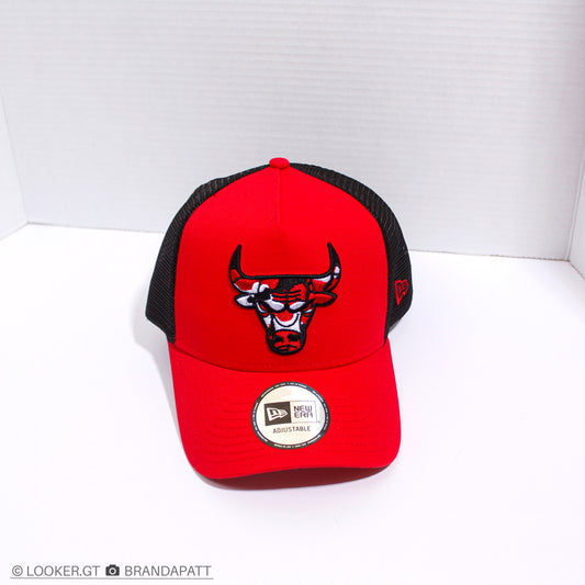 Chicago ‘Bulls’ — Trucker