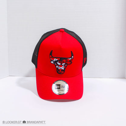 Chicago ‘Bulls’ — Trucker
