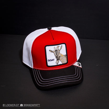 GOAT — Cápsula MVP