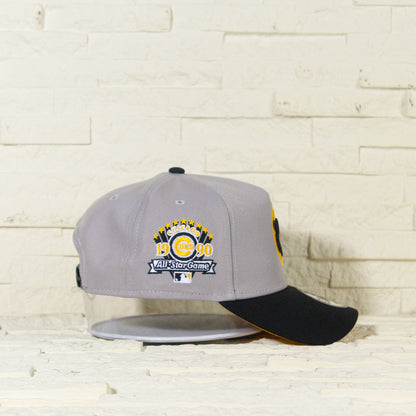 FAM Exclusive — Chicago Cubs Gris y Viscera Negra 9FORTY A-Frame Snapback